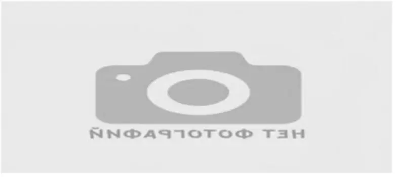 Сумка гудиер дорожная на колесах с выдвижной ручкой 60*30*33 см gy-08