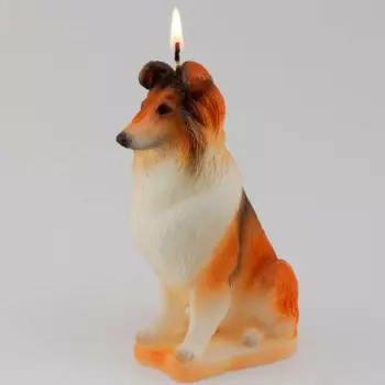 Свеча колли