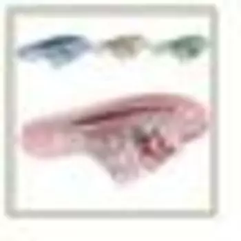 Тапочки домашние женские w-74659