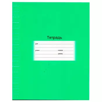 Тетрадь 12 л частая косая линейка биджи школьная эконом