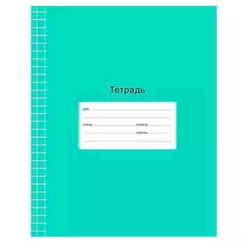 Тетрадь 12 л клетка биджи отличная зеленый эконом