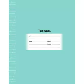 Тетрадь 12 л косая линия биджи школьная эконом