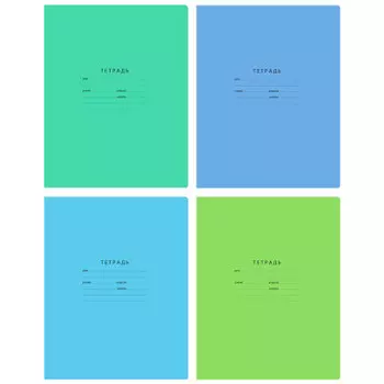 Тетрадь 12 л крупная клетка биджи отличная