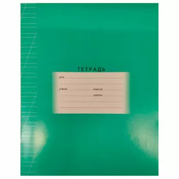 Тетрадь 12л косая линия БиДжи зеленый набор 5 шт