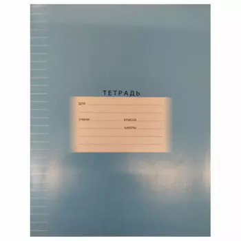 Тетрадь 12л линия БиДжи отличная голубой набор 5 шт