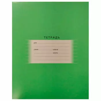 Тетрадь 18л линия БиДжи отличная светло-зеленый т5ск18 2747