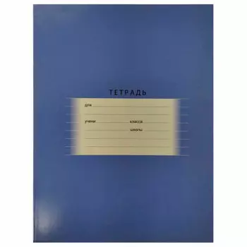 Тетрадь 24л линия БиДжи синий