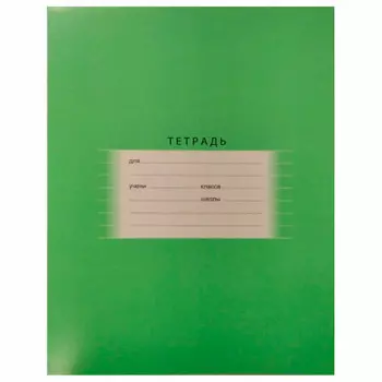 Тетрадь 24л линия БиДжи светло-зеленый