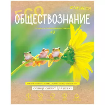 Тетрадь 48 л клетка биджи за планету обществознание матовая ламинация а5