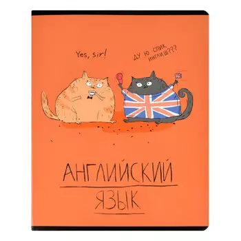 Тетрадь 48 л клетка феникс+ английский язык любознательные коты а5 60467
