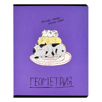 Тетрадь 48 л клетка феникс+ геометрия любознательные коты а5 60460