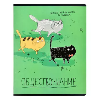 Тетрадь 48 л клетка феникс+ обществознание любознательные коты а5 60472