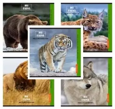 Тетрадь 48 л клетка проф-пресс хищные звери 48-0043