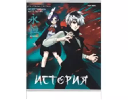 Тетрадь 48 л клетка проф-пресс история аниме 48-9421