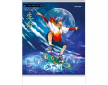 Тетрадь 48 л клетка проф-пресс обж аниме 48-9424