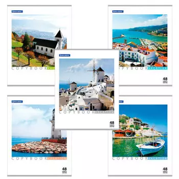 Тетрадь 48л клетка брауберг каникулы а5 401819