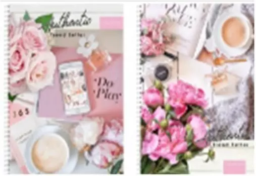 Тетрадь 96 л клетка проф-пресс нежные натюрморты 96-4587