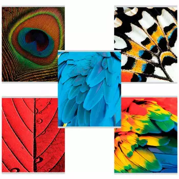 Тетрадь 96л клетка брауберг текстуры а5 403058