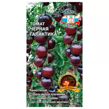 Томат черная галактика 0.1 г седек
