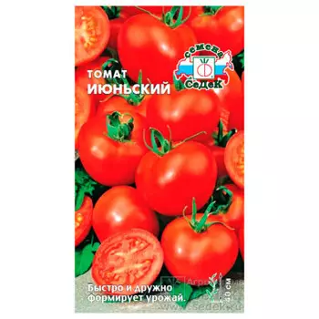 Томат июньский 0,2г седек