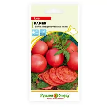Томат камея 0, 1 р/о