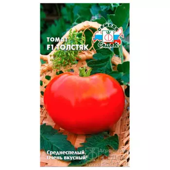 Томат толстяк f1 0,1г седек
