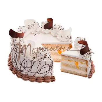 Торт йогуртовый абрикотин 1 кг тортьяна