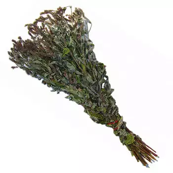 Веник из трав мята бвт-02