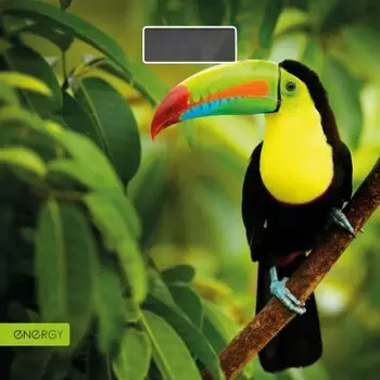 Весы напольные электронные Energy en-419 l