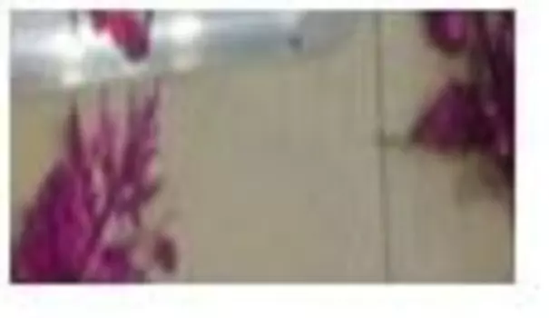 Ветка папоротника сиреневая 28см jn-16-2