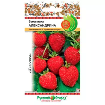 Земляника александрина 0.05 г р/о