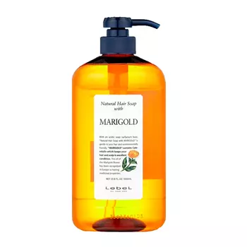 Шампунь Lebel