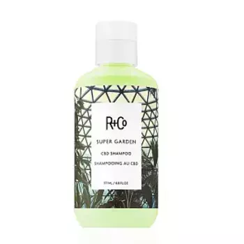 Шампунь R+co