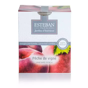 Ароматическая свеча Esteban Сочный персик 170г