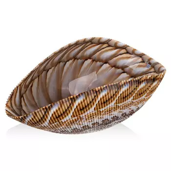 Блюдо декоративное Yalos Shell