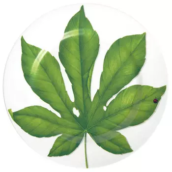 Блюдо сервировочное Taitu Freedom Калопанакс семилопастный