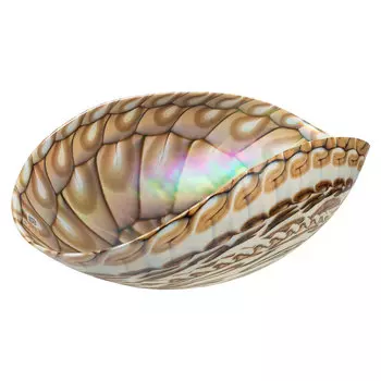 Блюдо Yalos Caraibi 26x40см