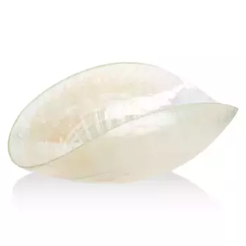 Блюдо Yalos Intarsio 27x49см