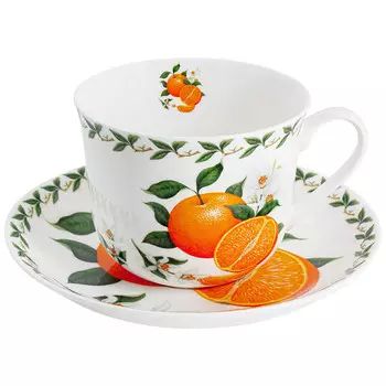 Чайная пара Maxwell & Williams Фруктовый сад Апельсин 480мл