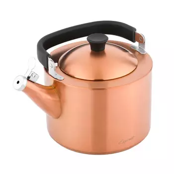 Чайник наплитный со свистком Esprado Magnifico 2,5л, матовый бронзовый