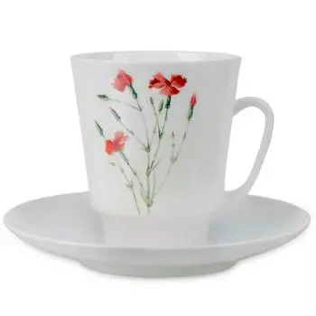 Чашка с блюдцем ИФЗ Home Гвоздика