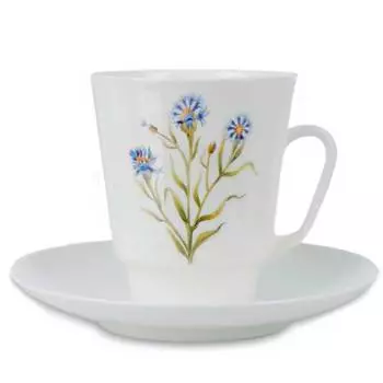 Чашка с блюдцем ИФЗ Home Василек