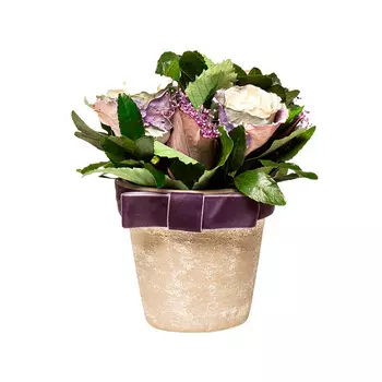 Цветочная композиция с розами в горшке Гарда Декор