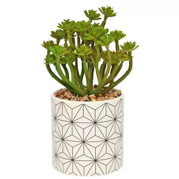 Цветы искусственные Вещицы Эониум в кашпо