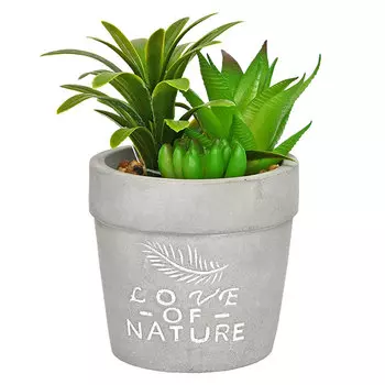 Цветы искусственные Вещицы композиция суккулентов 7x7x15см