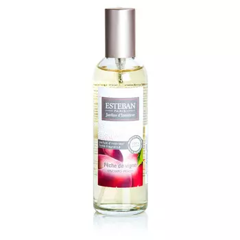 Духи интерьерные Esteban Сочный персик 100мл
