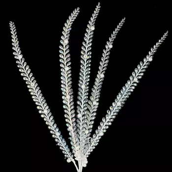 Интерьерное украшение Valma Ветка 10x50x1,7см