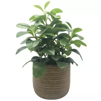 Искусственное растение Hogewoning Vases &amp; Pots Фасоль 38см