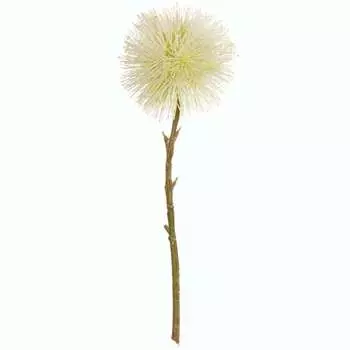 Искусственные цветы Asa Selection Deko Pompon