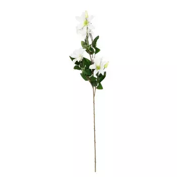 Искусственные цветы Silk-ka Клематис 95см, цвет кремовый